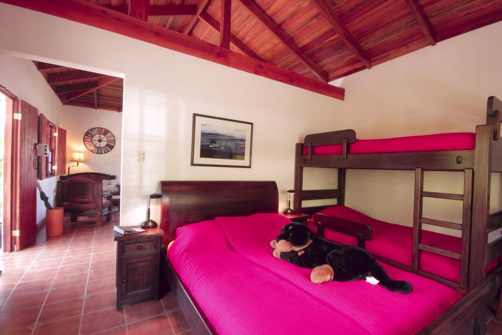 Orosi Lodge Стая снимка